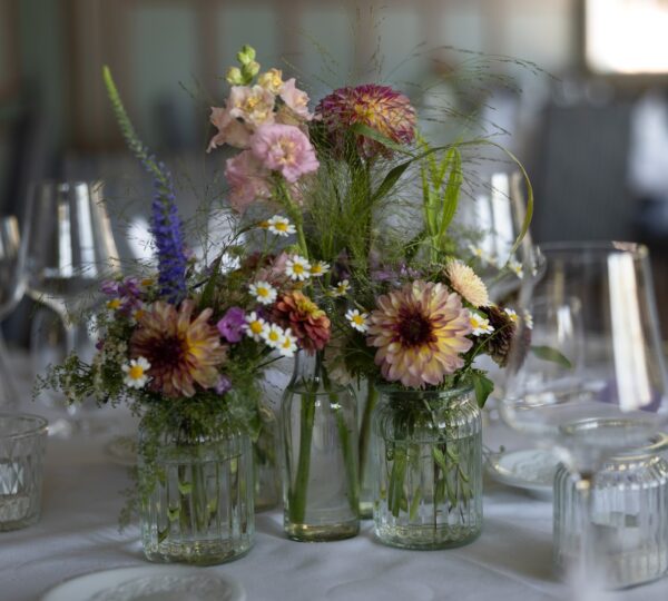 Biogärtnerei & Blumen Rohrer
