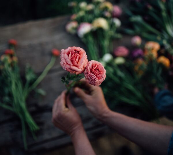 Wildling Blumen