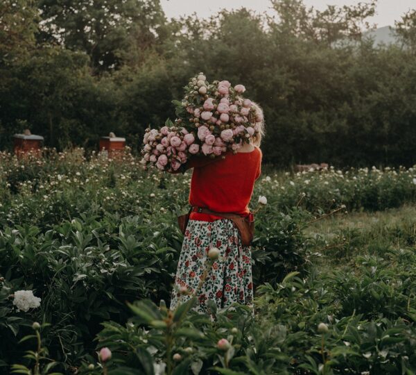Wildling Blumen