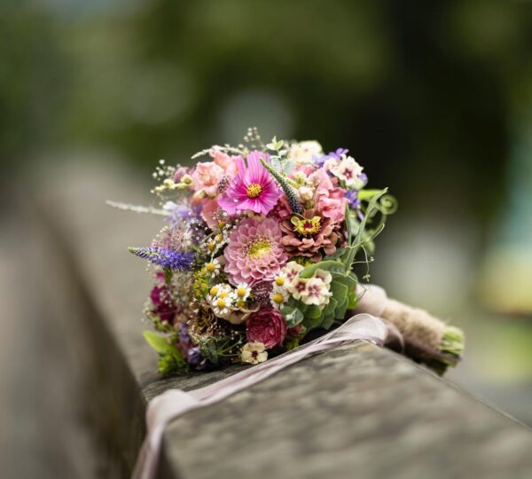 Biogärtnerei & Blumen Rohrer
