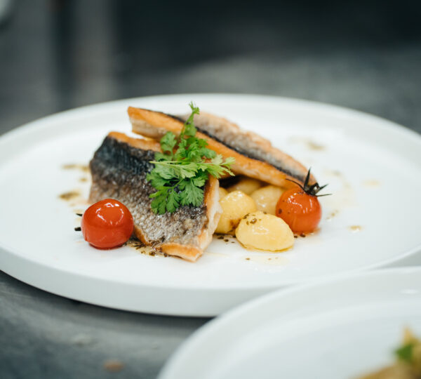 Adventure Catering