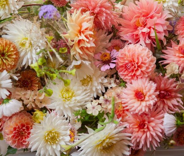 Blumen vom Hühnersteig (Christina Moritz)