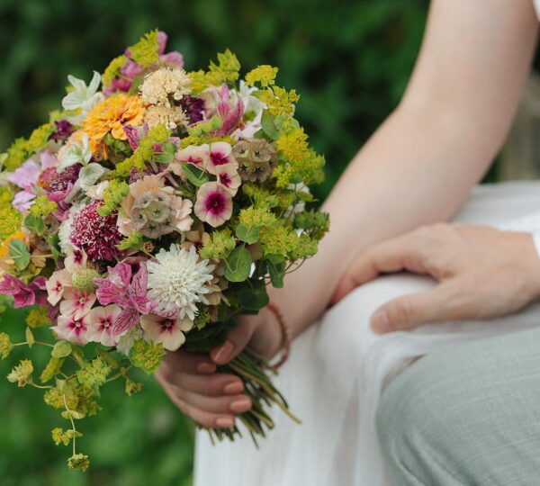 Ackerblüten