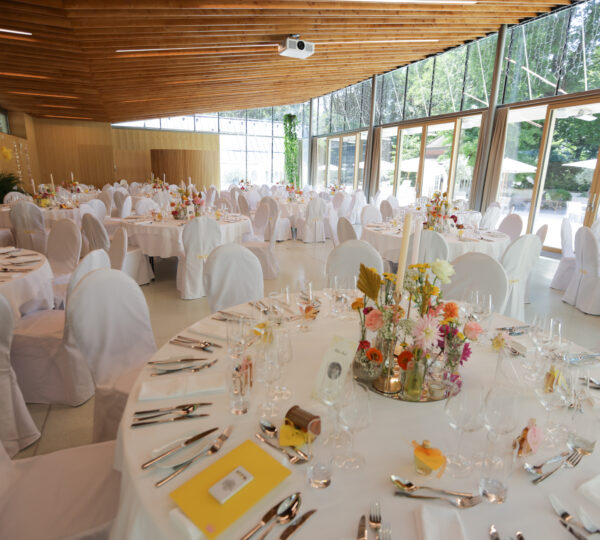 Schloss Vasoldsberg & Festessen Catering